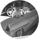 Fabienne Starenberger profile picture